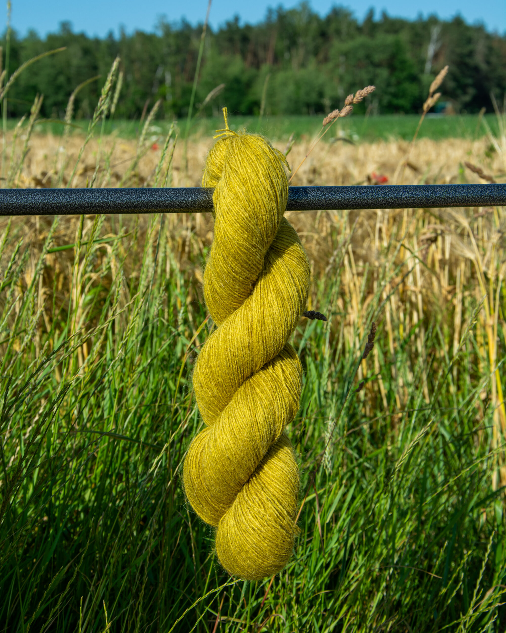 PRECLOVE - Sympatia oliwka